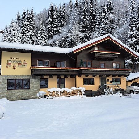 Apartments Salzburgerhof Заалбах-Хинтерглем Екстериор снимка